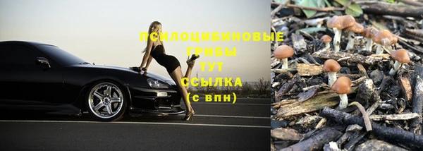 Альфа ПВП Верея
