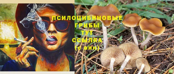 марки nbome Верхний Тагил