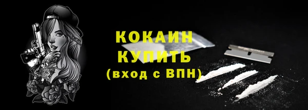 Альфа ПВП Верея