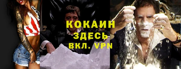 Альфа ПВП Верея